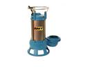 2 HP 460V Cast Iron Sewage Pump