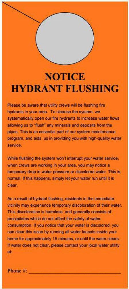 Cosmic Orange 8-1/2 in. x 3-3/4 in. Door Hanger 