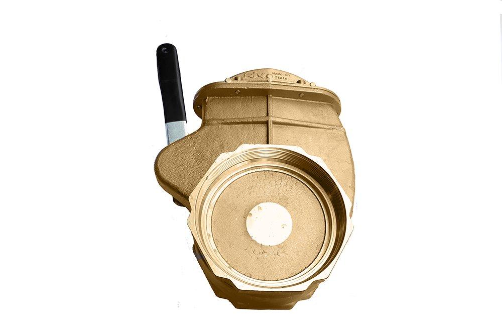 Moro USA Brass FNPT Gate Valve 