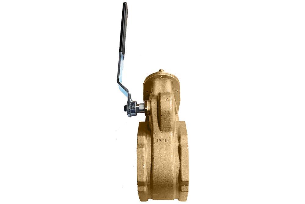Moro USA Brass FNPT Gate Valve 