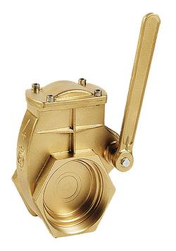 4 in. Brass FNPT Gate Valve