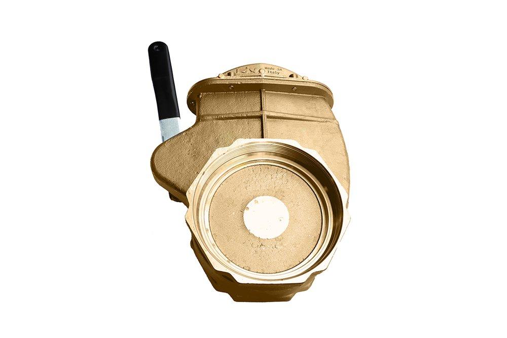 Moro USA Brass FNPT Gate Valve 