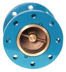 GA Industries Ductile Iron Flanged Silent Check Valve 