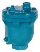NPT Cast Iron 150 psi Air Release Valve 
