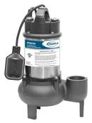 PROFLO&reg; 2 in. 120V 12A Cast Iron Sewage Pump 
