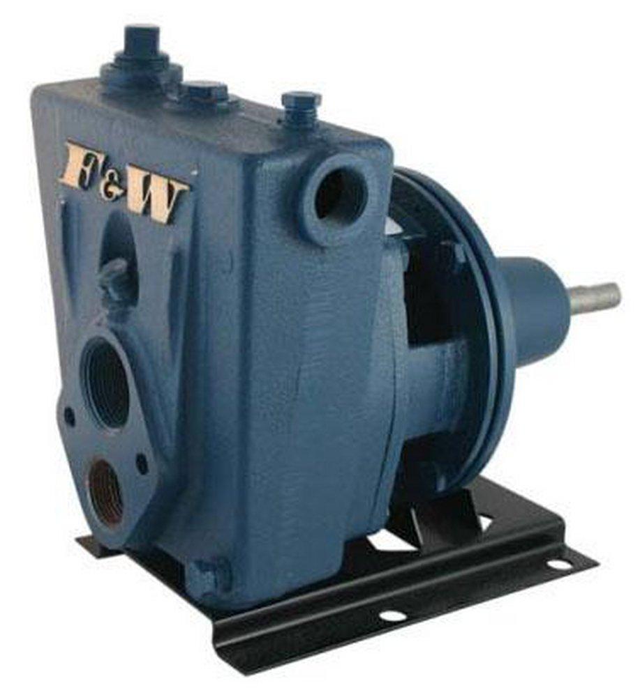 Flint & Walling Convertible Jet Pump 