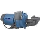 Flint & Walling Economy Shallow Well Jet Pump 