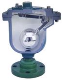 Crispin-Multiplex NPT Cast Iron 300 psi Air Release Valve 