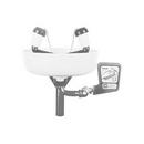 Wall Mount Facewash with Stainless Steel Bowl in White