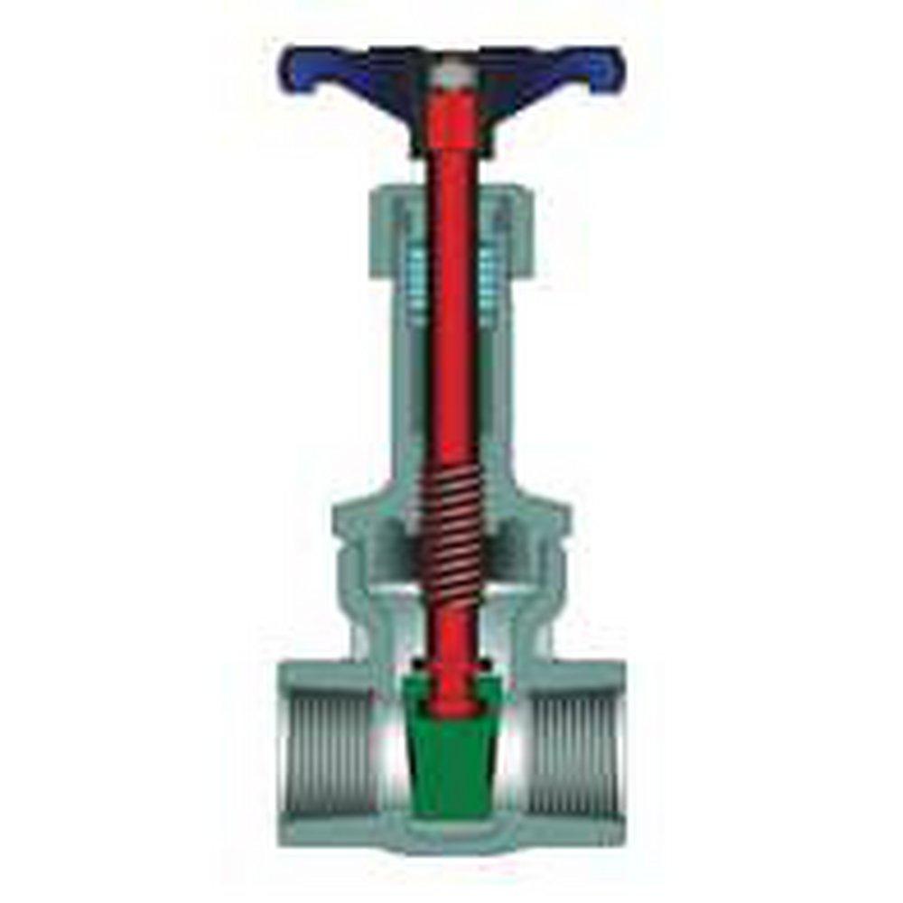 Powell Valves Stainless Steel NPT Gate Valve 