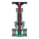 Powell Valves Stainless Steel NPT Gate Valve 