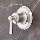 Single Handle Diverter Valve Trim in Brushed Nickel