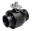 2-1/2 in. Ductile Iron Standard Port Grooved 1500# Ball Valve