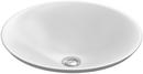 17-11/16 x 17-11/16 in. Round Dual Mount Bathroom Sink in White