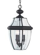 Visual Comfort & Co. Generation Lighting Black 20-3/4 in. 40 W 3-Light Candelabra Pendant 