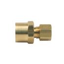 1/4 in. OD Compression x FIP Brass Compression Adapter