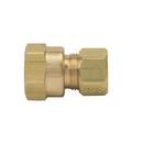 3/8 in. OD Compression x FIP 200 psi Brass Adapter