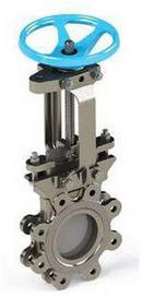 FNW&reg; Stainless Steel 4-3/4 in. Threaded Stainless Steel Gate Valve 