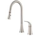 2-Hole Pull-Down Kitchen Faucet with Single Lever Handle in Stainless Steel
