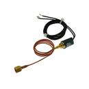 Rheem Low Pressure Limit Auto Reset 