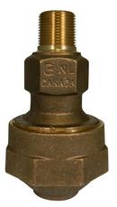A.Y. McDonald MNPT Brass Straight Coupling 