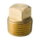 1/8 in. Square Head and Solid Domestic Brass Plug