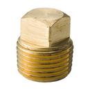 1/8 in. Square Head and Solid Domestic Brass Plug 