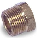 1/2 in. Brass Hex Plug 