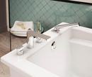 MAAX White 60 x 32 in. Freestanding Bathtub with Left Drain 