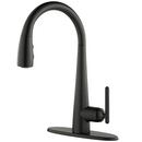 Pfister Matte Black Single Handle Pull Down Kitchen Faucet 