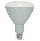 17W LED Light Bulb with Medium Base