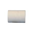 Cream CTS CPVC Coupling 