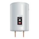 19 gal Wall Hung 1.5kW 1-Element Residential Electric Water Heater
