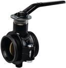 3 in. Carbon Steel Grooved EPDM and Nitrile Seat Locking Lever Handle Butterfly Valve