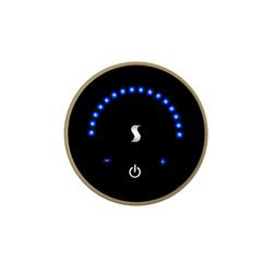 Steam Bath Control in Satin Brass