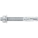DEWALT Anchors & Fasteners Silver Carbon Steel Wedge Expansion Anchor 