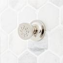 Signature Hardware Polished Nickel 2 gpm Body Spray 