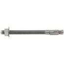DEWALT Anchors & Fasteners Silver Stainless Steel Wedge Expansion Anchor 