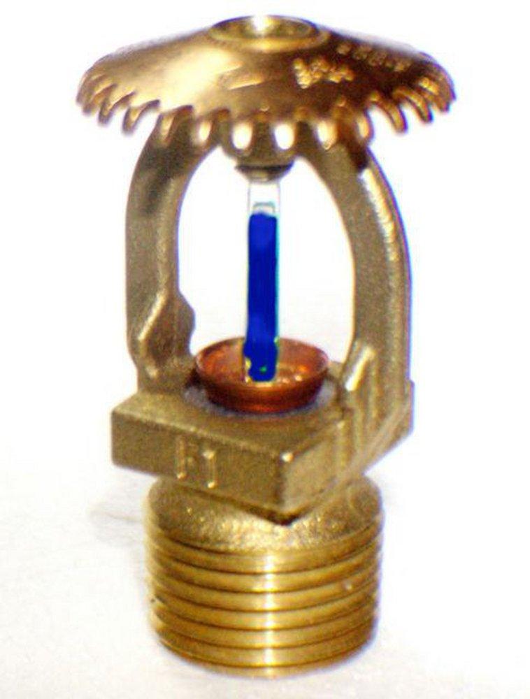 Tyco Natural Brass 200F 4.2K Quick Response and Upright Sprinkler Head in Natural Brass 