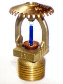 1/2 in. 200F 5.6K Quick Response and Upright Sprinkler Head in Natural Brass