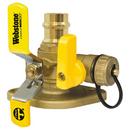 2 in. Press x Flanged Forged Brass Full Port Ball Valve