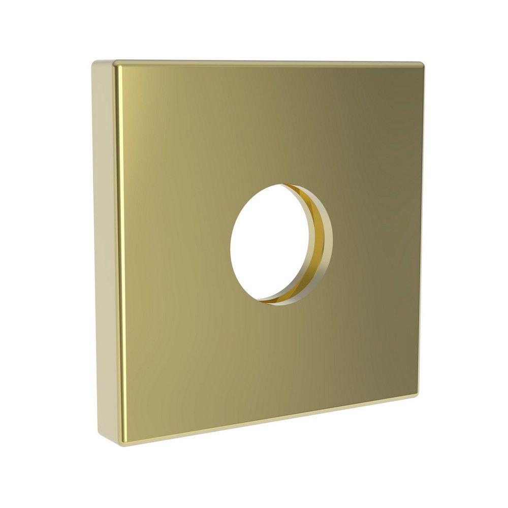 Newport Brass Forever Brass - PVD 1/2 x 2-1/2 in. NPT Solid Brass Flange 