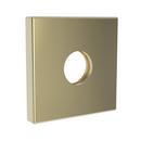 Newport Brass French Gold - PVD 1/2 x 2-1/2 in. NPT Solid Brass Flange 