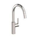 Single Handle Pull Down Kitchen Faucet in Polished Nickel - Natural