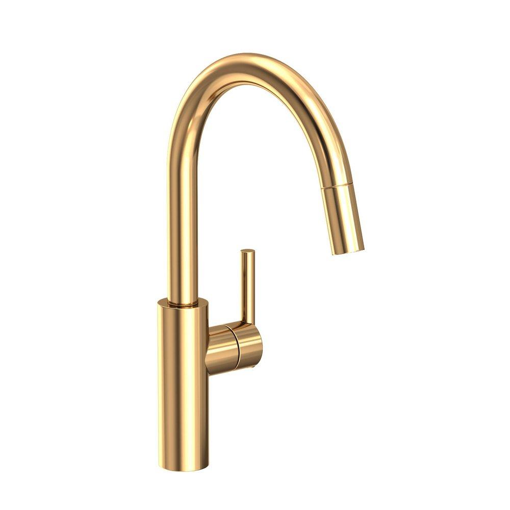 Newport Brass Uncoated Polished Brass - Living Single Handle Pull Down Kitchen Faucet 