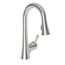 Newport Brass Polished Nickel Single Handle Lever Bar Faucet 
