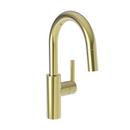 Newport Brass Forever Brass - PVD Single Handle Lever Bar Faucet 