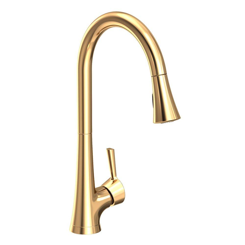 Newport Brass Uncoated Polished Brass - Living Single Handle Pull Down Kitchen Faucet 
