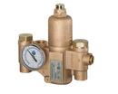 Bradley Corporation NPT Mixing Valve 