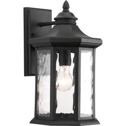 1-Light 100W 16 in. Outdoor Wall Sconce with Water Glass Shade in Black